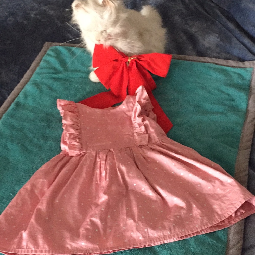 2T DRESSY HOLIDAY DRESSEUC❤️
